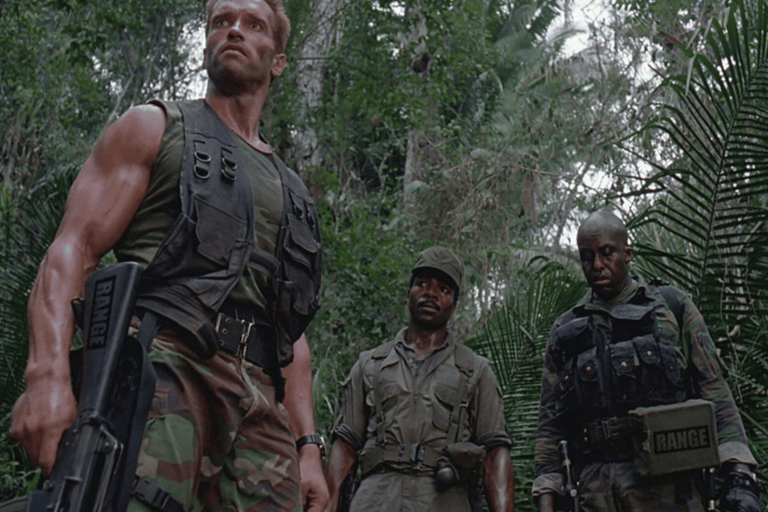 Range - Surf essentials - Deflow Surf